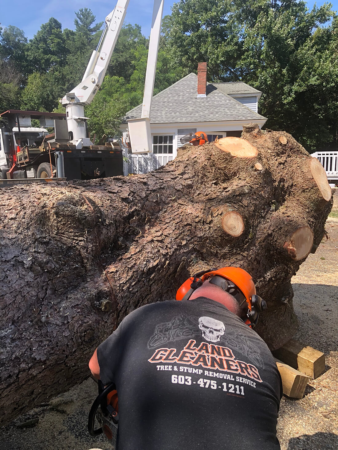 Emergency Tree Removal & Tree Trimming Services In Southern NH