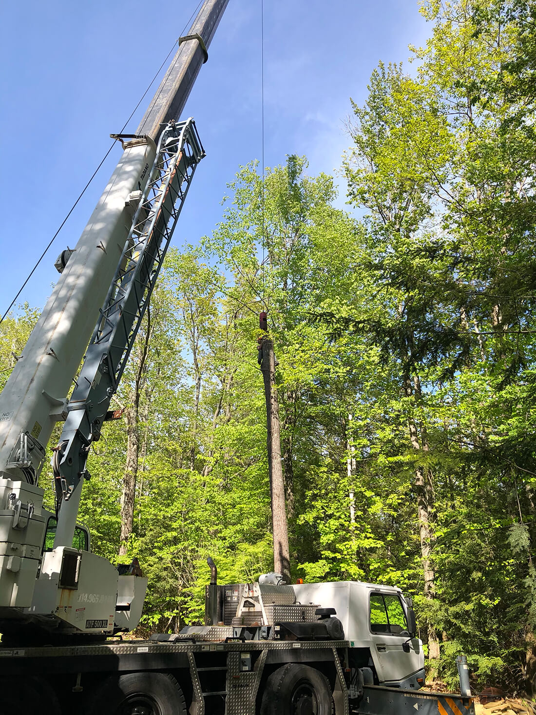 Overview Tree Removal & Tree Trimming Services We Offer In Southern NH